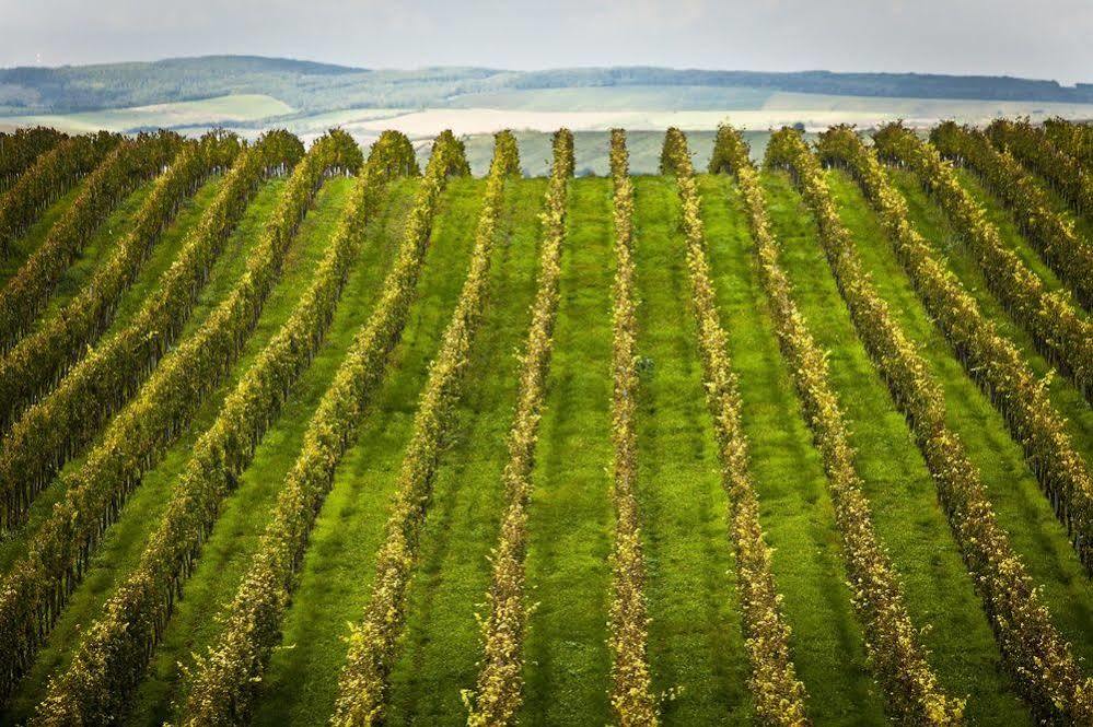 Wine Wellness Hotel Amande Hustopeče Εξωτερικό φωτογραφία